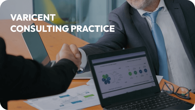 Varicent Consulting Practice